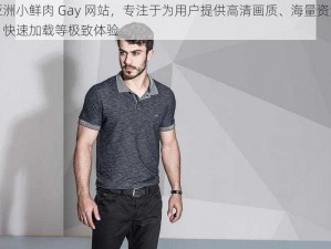 亚洲小鲜肉 Gay 网站，专注于为用户提供高清画质、海量资源、快速加载等极致体验