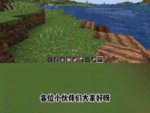 我的世界种小麦：全面解析种植技术及应用价值攻略