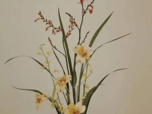 双阳插花芯-双阳插花芯，花中之魁你可知？