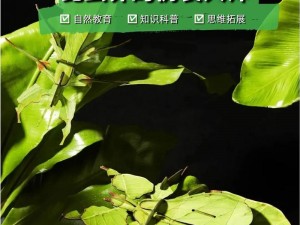 源石虫图片揭秘：探索奇妙昆虫世界的神秘面纱新视角