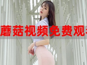 少女视频哔哩哔哩-少女视频哔哩哔哩，你知道多少？