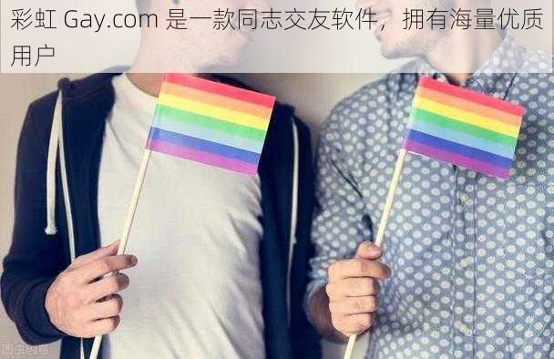 彩虹 Gay.com 是一款同志交友软件，拥有海量优质用户