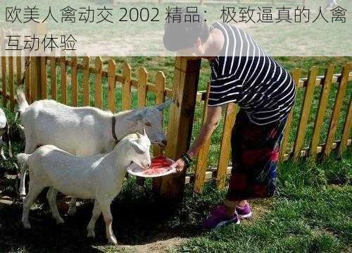 欧美人禽动交 2002 精品：极致逼真的人禽互动体验