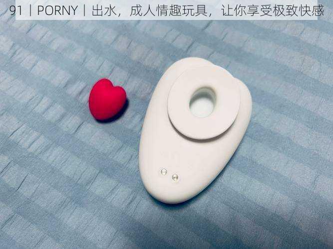 91丨PORNY丨出水，成人情趣玩具，让你享受极致快感