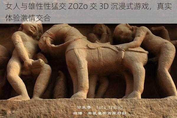 女人与雄性性猛交 ZOZo 交 3D 沉浸式游戏，真实体验激情交合