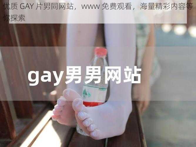 优质 GAY 片男同网站，www 免费观看，海量精彩内容等你探索