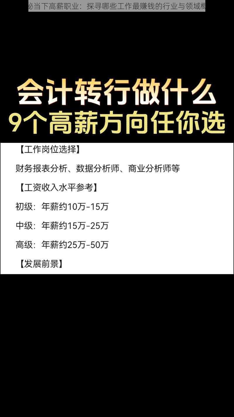 揭秘当下高薪职业：探寻哪些工作最赚钱的行业与领域概览