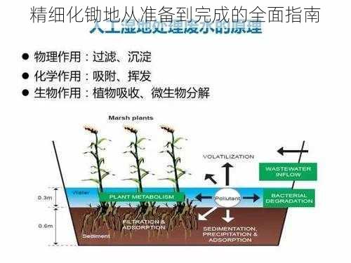 精细化锄地从准备到完成的全面指南