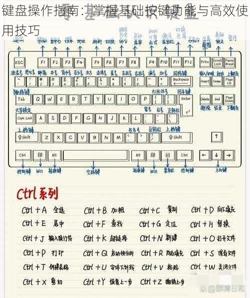 键盘操作指南：掌握基础按键功能与高效使用技巧