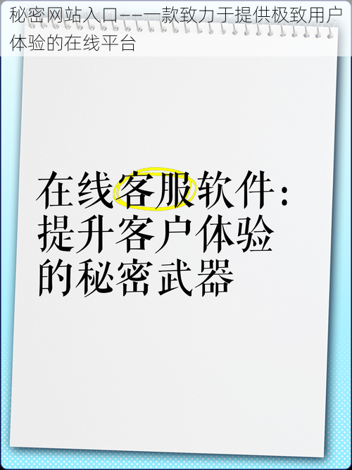 秘密网站入口——一款致力于提供极致用户体验的在线平台