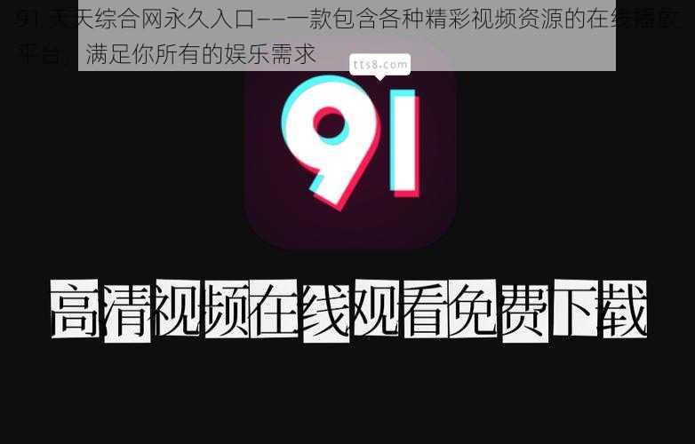 91 天天综合网永久入口——一款包含各种精彩视频资源的在线播放平台，满足你所有的娱乐需求