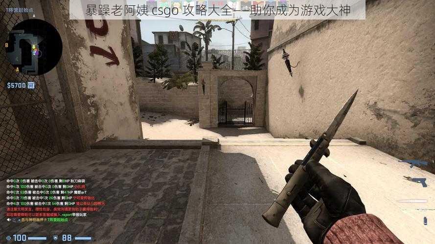 暴躁老阿姨 csgo 攻略大全——助你成为游戏大神