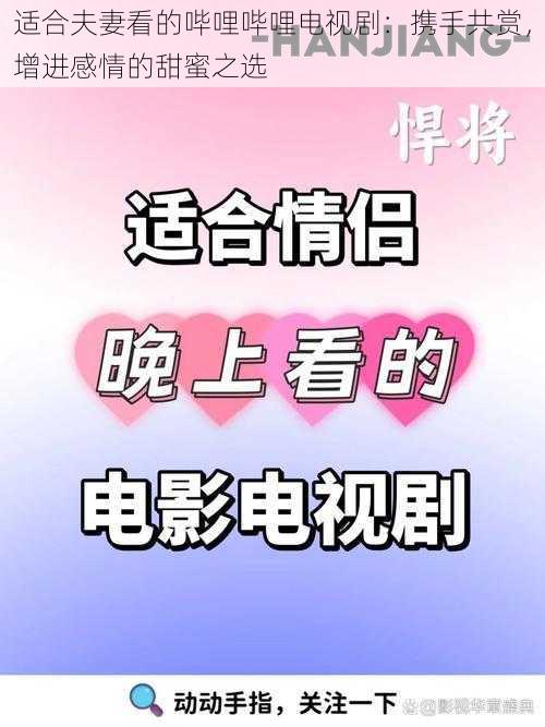 适合夫妻看的哔哩哔哩电视剧：携手共赏，增进感情的甜蜜之选