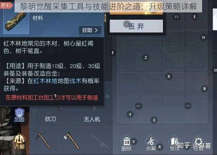 黎明觉醒采集工具与技能进阶之道：升级策略详解