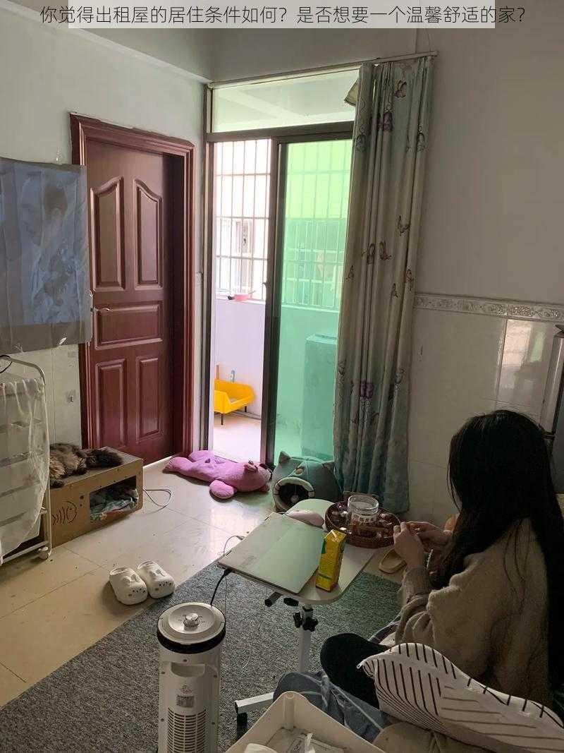 你觉得出租屋的居住条件如何？是否想要一个温馨舒适的家？