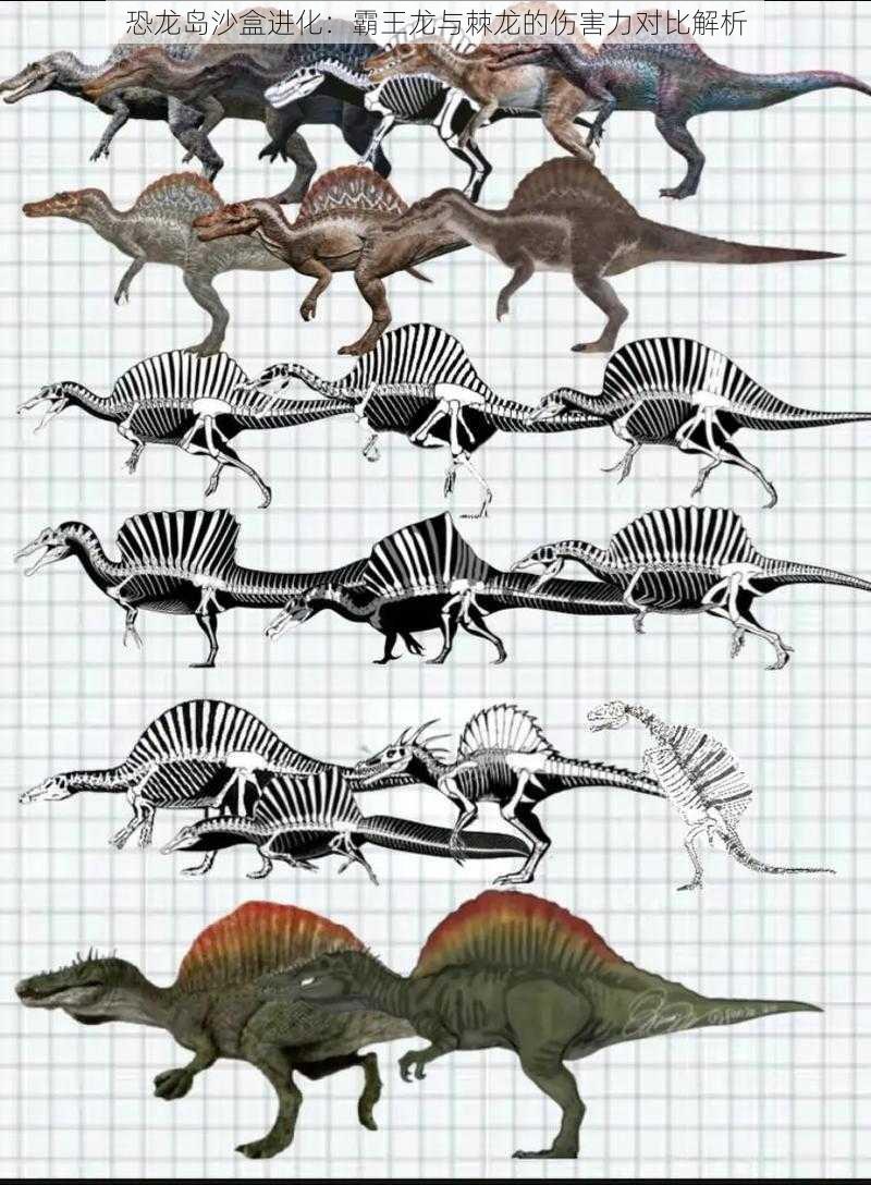 恐龙岛沙盒进化：霸王龙与棘龙的伤害力对比解析