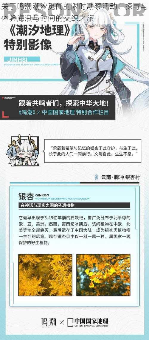 关于鸣潮潮汐觅闻的限时勘察活动：探寻与体验海浪与时间的交织之旅