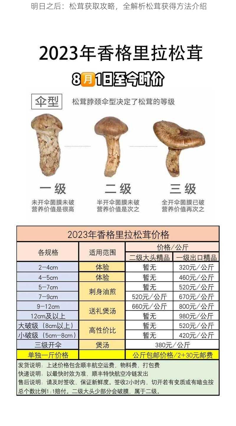 明日之后：松茸获取攻略，全解析松茸获得方法介绍