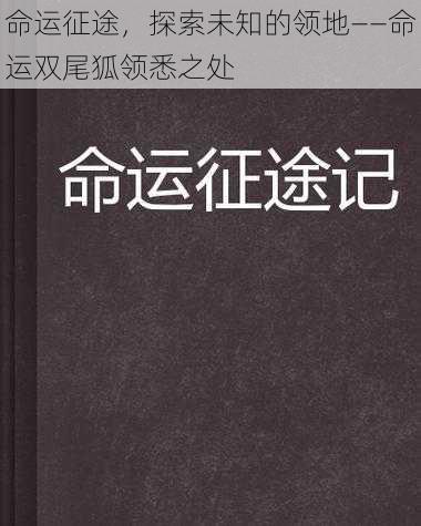 命运征途，探索未知的领地——命运双尾狐领悉之处