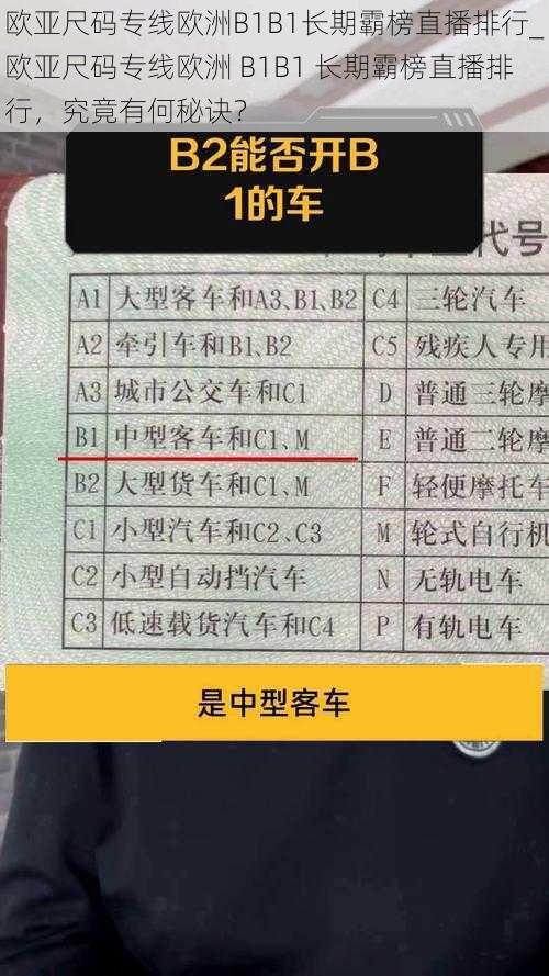 欧亚尺码专线欧洲B1B1长期霸榜直播排行_欧亚尺码专线欧洲 B1B1 长期霸榜直播排行，究竟有何秘诀？