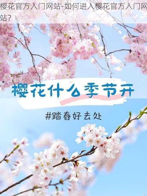 樱花官方入门网站-如何进入樱花官方入门网站？