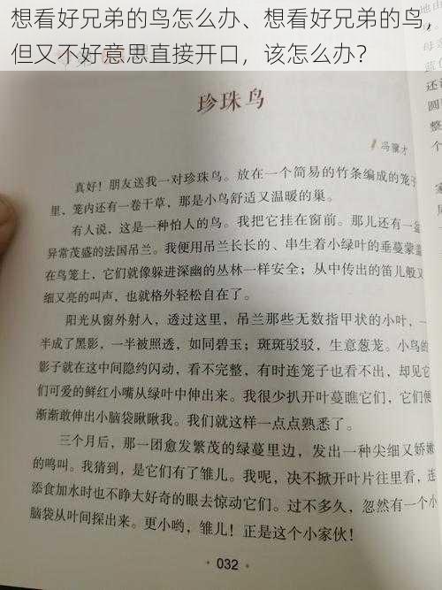 想看好兄弟的鸟怎么办、想看好兄弟的鸟，但又不好意思直接开口，该怎么办？