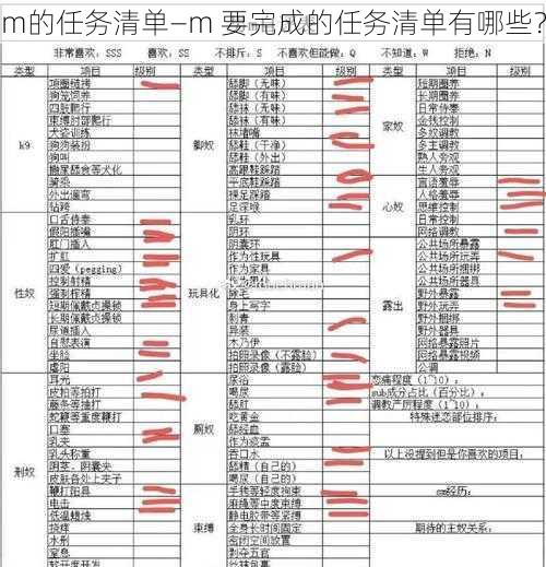 m的任务清单—m 要完成的任务清单有哪些？