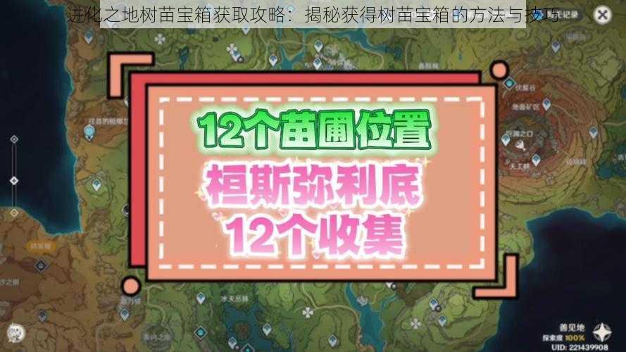 进化之地树苗宝箱获取攻略：揭秘获得树苗宝箱的方法与技巧