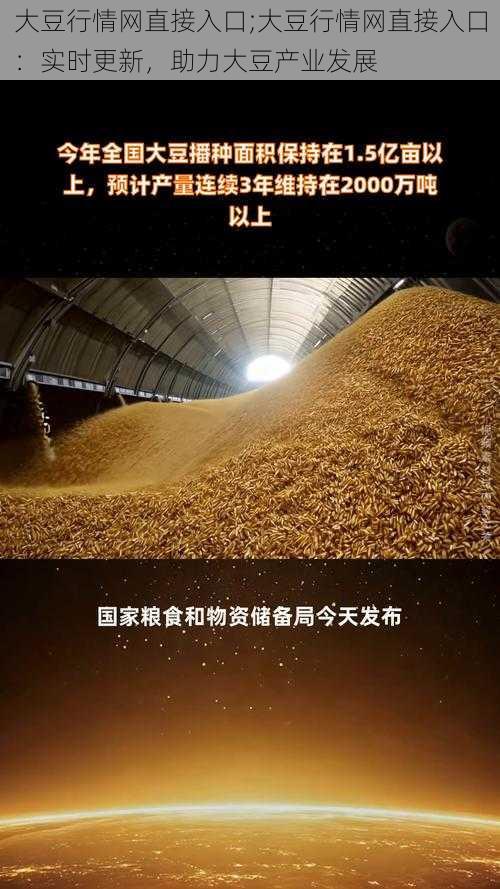 大豆行情网直接入口;大豆行情网直接入口：实时更新，助力大豆产业发展