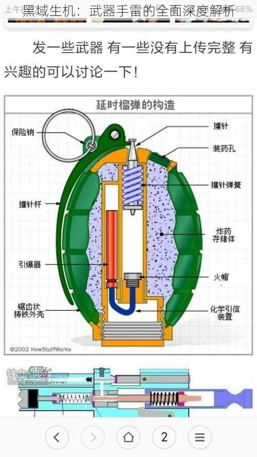 黑域生机：武器手雷的全面深度解析