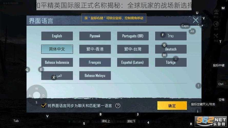 和平精英国际服正式名称揭秘：全球玩家的战场新选择