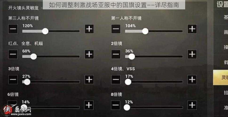 如何调整刺激战场亚服中的国旗设置——详尽指南