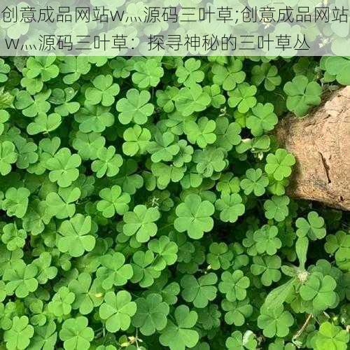 创意成品网站w灬源码三叶草;创意成品网站 w灬源码三叶草：探寻神秘的三叶草丛