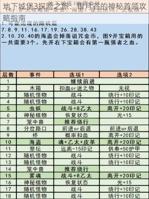 地下城堡3探险之旅：银月谷的神秘首领攻略指南