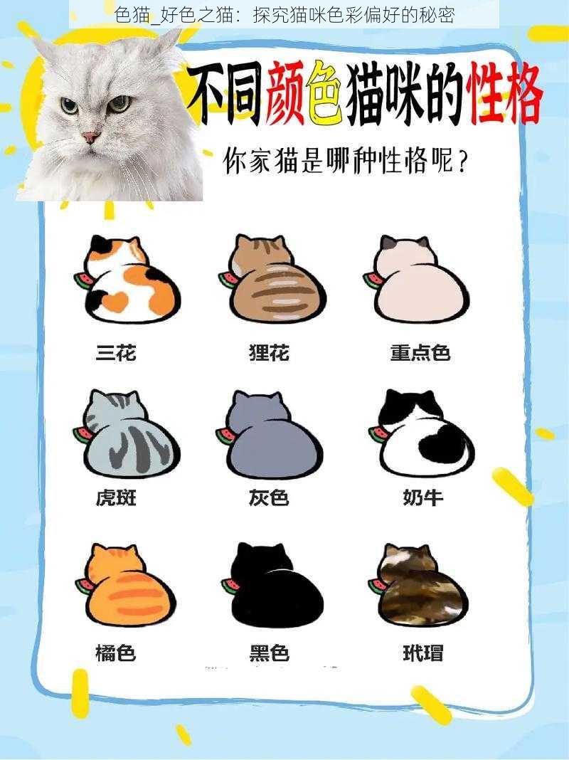 色猫_好色之猫：探究猫咪色彩偏好的秘密