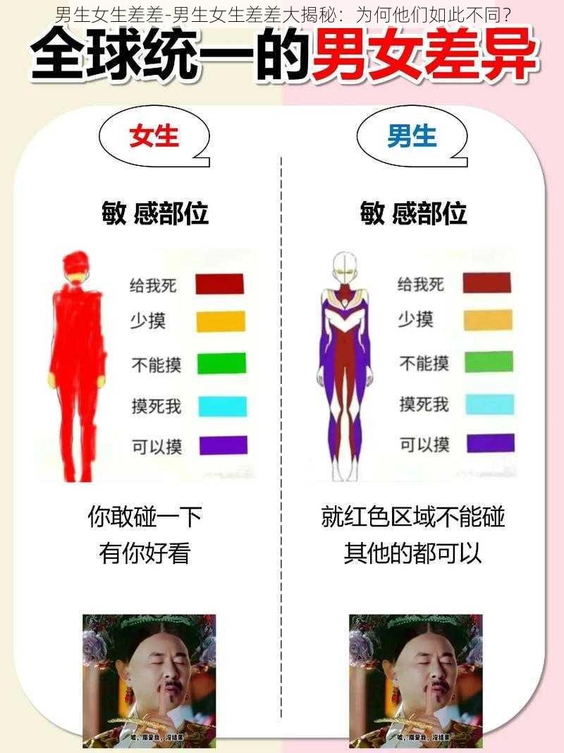 男生女生差差-男生女生差差大揭秘：为何他们如此不同？