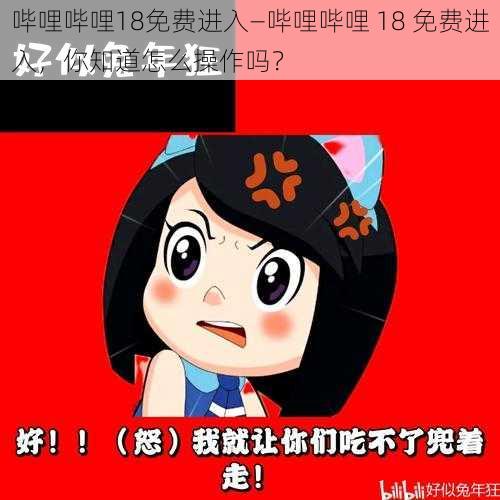 哔哩哔哩18免费进入—哔哩哔哩 18 免费进入，你知道怎么操作吗？