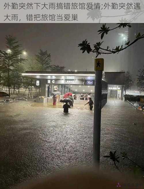 外勤突然下大雨搞错旅馆爱情;外勤突然遇大雨，错把旅馆当爱巢