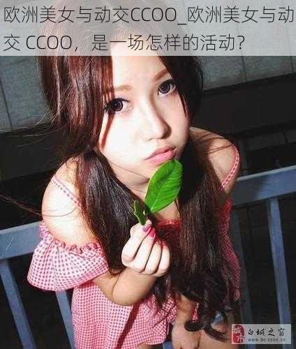 欧洲美女与动交CCOO_欧洲美女与动交 CCOO，是一场怎样的活动？