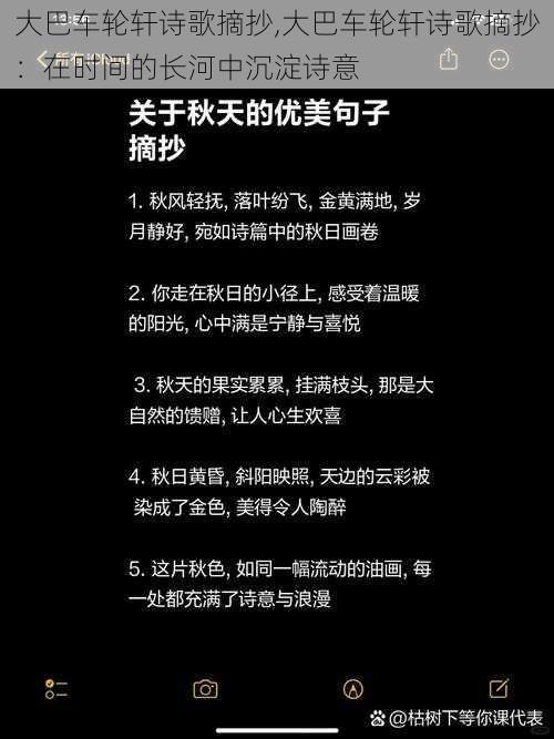 大巴车轮轩诗歌摘抄,大巴车轮轩诗歌摘抄：在时间的长河中沉淀诗意