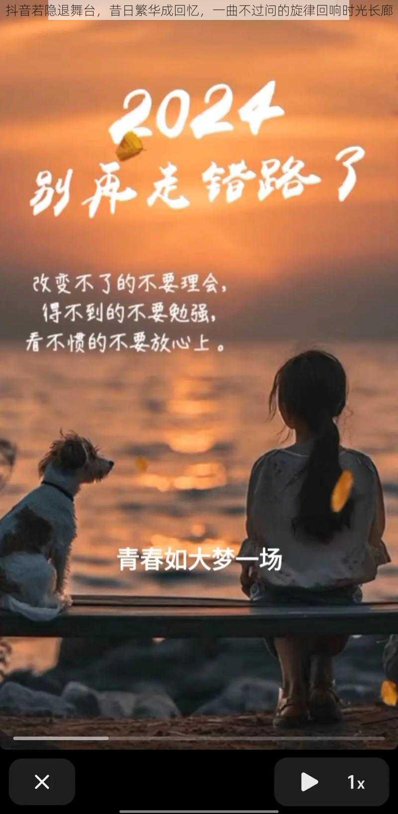 抖音若隐退舞台，昔日繁华成回忆，一曲不过问的旋律回响时光长廊