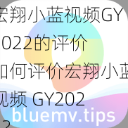 宏翔小蓝视频GY2022的评价 如何评价宏翔小蓝视频 GY2022？