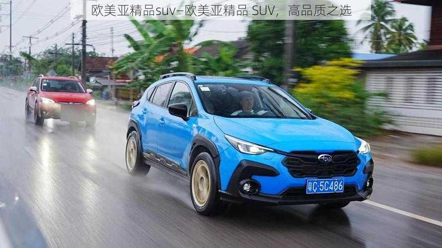 欧美亚精品suv—欧美亚精品 SUV，高品质之选