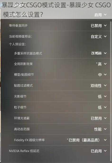 暴躁少女CSGO模式设置-暴躁少女 CSGO 模式怎么设置？