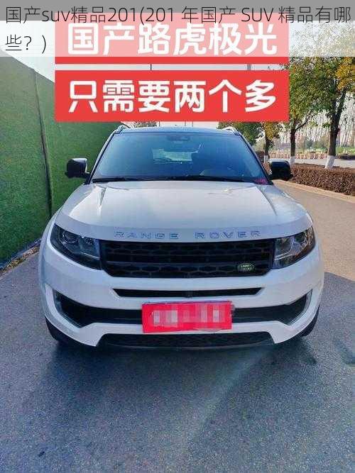 国产suv精品201(201 年国产 SUV 精品有哪些？)