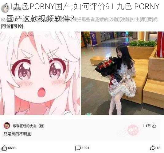 91九色PORNY国产;如何评价91 九色 PORNY 国产这款视频软件？