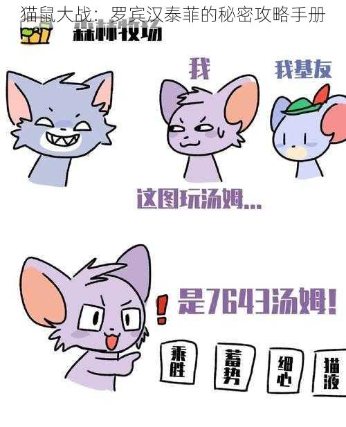 猫鼠大战：罗宾汉泰菲的秘密攻略手册