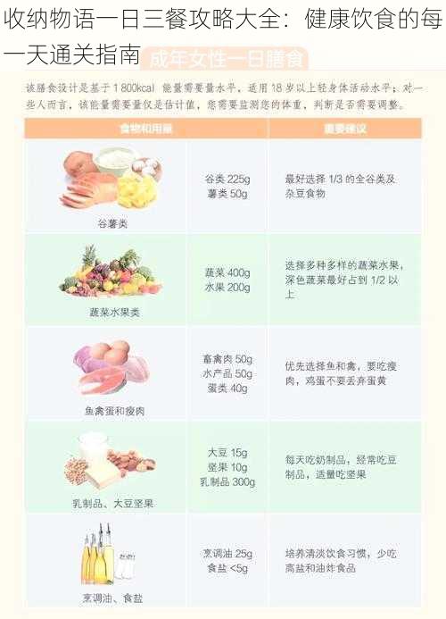 收纳物语一日三餐攻略大全：健康饮食的每一天通关指南