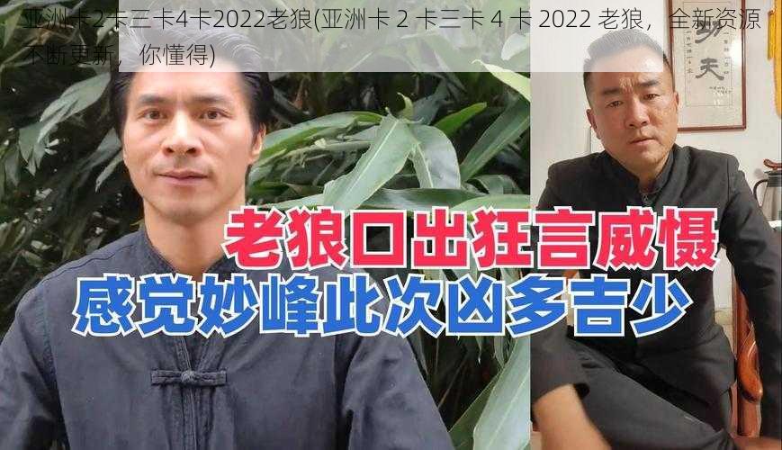 亚洲卡2卡三卡4卡2022老狼(亚洲卡 2 卡三卡 4 卡 2022 老狼，全新资源不断更新，你懂得)