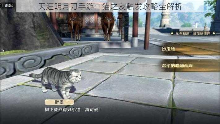 天涯明月刀手游：猫之友触发攻略全解析